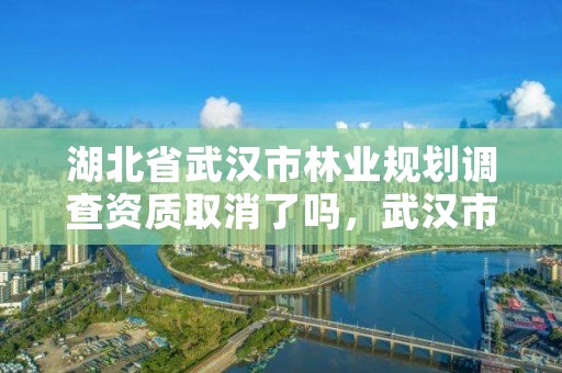 湖北省武汉市林业规划调查资质取消了吗,武汉市林业调查规划设计有限公司