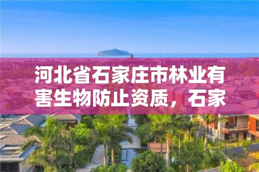 河北省石家庄市林业有害生物防止资质，石家庄有害生物防制行业会长