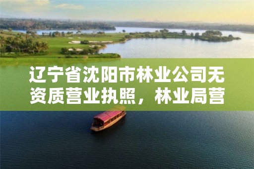 辽宁省沈阳市林业公司无资质营业执照,林业局营业执照