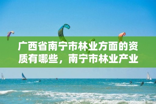 广西省南宁市林业方面的资质有哪些,南宁市林业产业行业协会