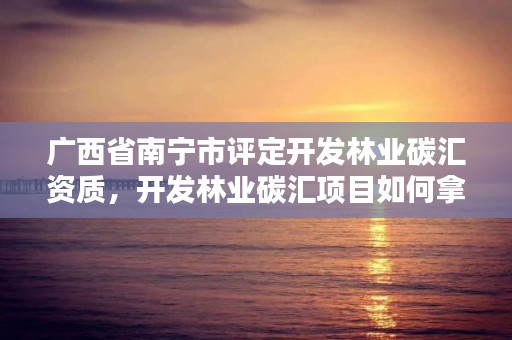 广西省南宁市评定开发林业碳汇资质,开发林业碳汇项目如何拿补贴赚钱