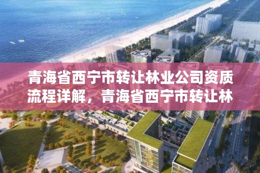 青海省西宁市转让林业公司资质流程详解,青海省西宁市转让林业公司资质流程详解表