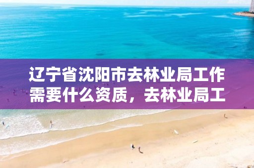 辽宁省沈阳市去林业局工作需要什么资质,去林业局工作要考什么