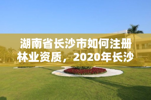 湖南省长沙市如何注册林业资质,2020年长沙林业局招聘公告