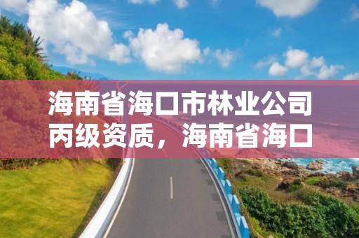 海南省海口市林业公司丙级资质,海南省海口市林业公司丙级资质有哪些