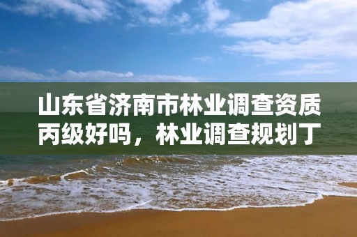 山东省济南市林业调查资质丙级好吗,林业调查规划丁级资质