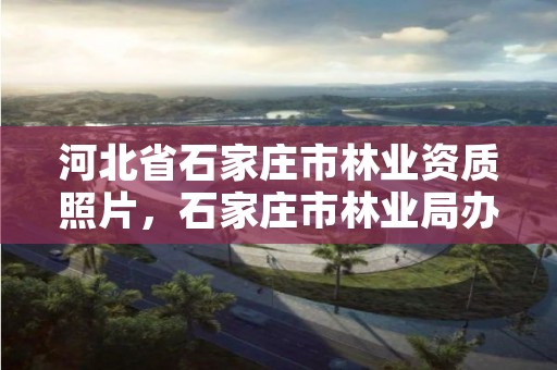 河北省石家庄市林业资质照片,石家庄市林业局办公室电话