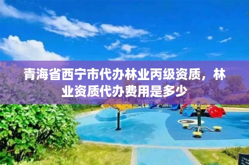 青海省西宁市代办林业丙级资质，林业资质代办费用是多少