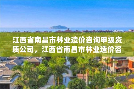 江西省南昌市林业造价咨询甲级资质公司,江西省南昌市林业造价咨询甲级资质公司有哪些