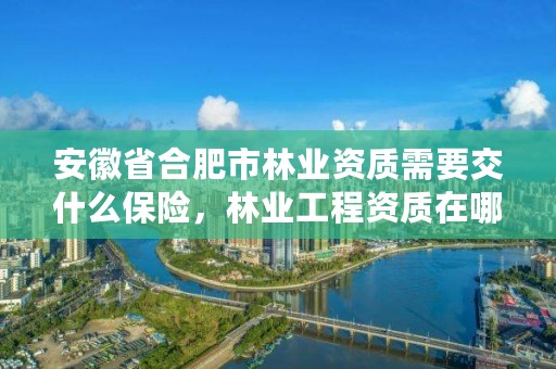 安徽省合肥市林业资质需要交什么保险，林业工程资质在哪办