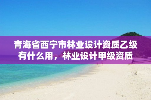 青海省西宁市林业设计资质乙级有什么用，林业设计甲级资质