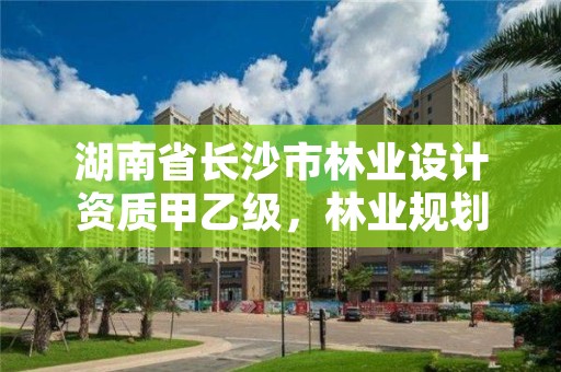 湖南省长沙市林业设计资质甲乙级,林业规划设计乙级资质