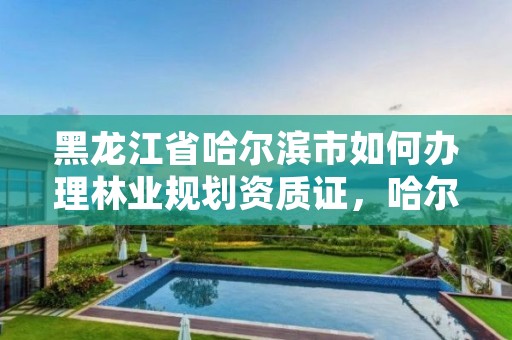 黑龙江省哈尔滨市如何办理林业规划资质证,哈尔滨市林权交易中心