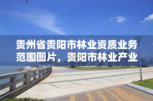 贵州省贵阳市林业资质业务范围图片，贵阳市林业产业发展中心