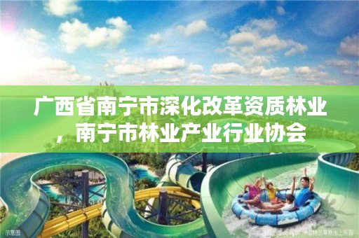 广西省南宁市深化改革资质林业,南宁市林业产业行业协会