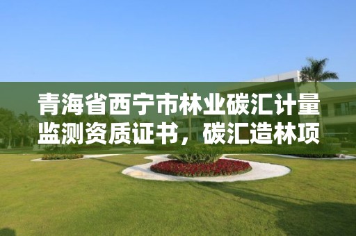 青海省西宁市林业碳汇计量监测资质证书，碳汇造林项目计量监测指南