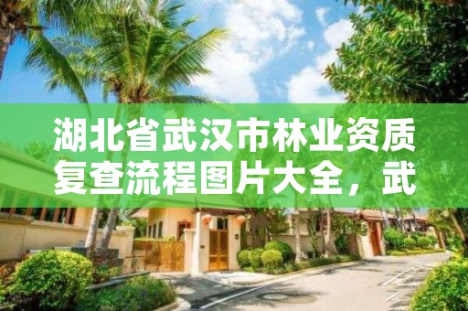 湖北省武汉市林业资质复查流程图片大全,武汉市林业发展有限责任公司