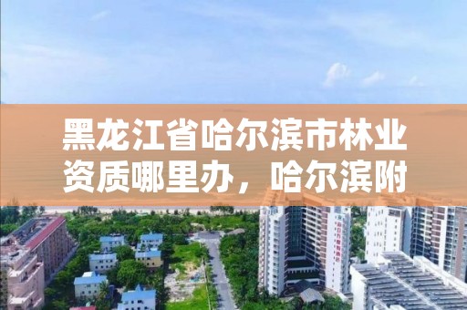 黑龙江省哈尔滨市林业资质哪里办,哈尔滨附近的林业局