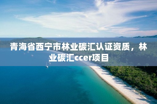青海省西宁市林业碳汇认证资质，林业碳汇ccer项目