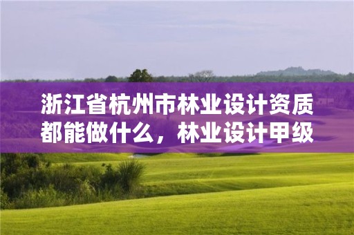 浙江省杭州市林业设计资质都能做什么,林业设计甲级资质