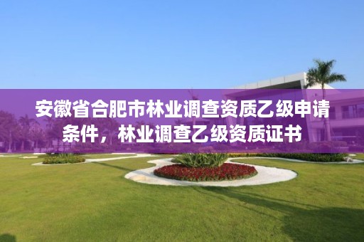 安徽省合肥市林业调查资质乙级申请条件，林业调查乙级资质证书