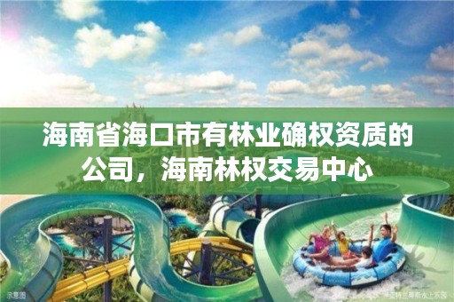 海南省海口市有林业确权资质的公司,海南林权交易中心