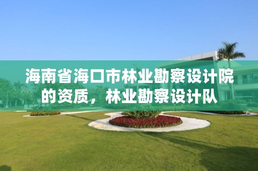 海南省海口市林业勘察设计院的资质,林业勘察设计队