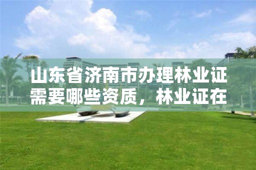 山东省济南市办理林业证需要哪些资质,林业证在哪里办