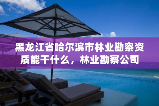 黑龙江省哈尔滨市林业勘察资质能干什么,林业勘察公司