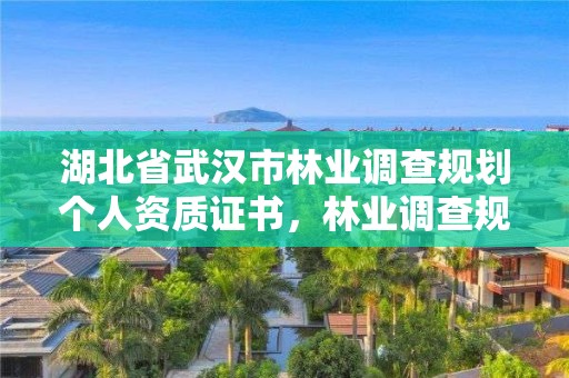 湖北省武汉市林业调查规划个人资质证书,林业调查规划资质业务范围