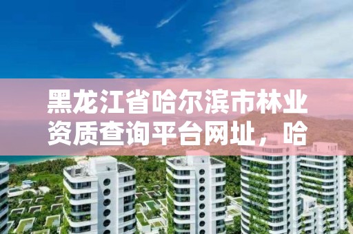 黑龙江省哈尔滨市林业资质查询平台网址,哈尔滨林业公司