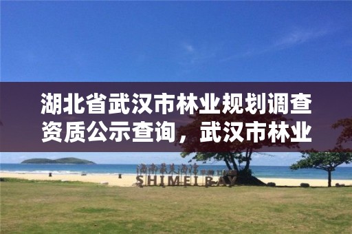 湖北省武汉市林业规划调查资质公示查询,武汉市林业发展有限责任公司