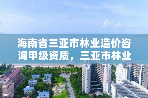 海南省三亚市林业造价咨询甲级资质,三亚市林业局公开招聘