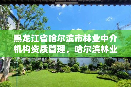 黑龙江省哈尔滨市林业中介机构资质管理,哈尔滨林业厅官网