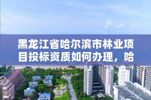黑龙江省哈尔滨市林业项目投标资质如何办理,哈尔滨林业公司