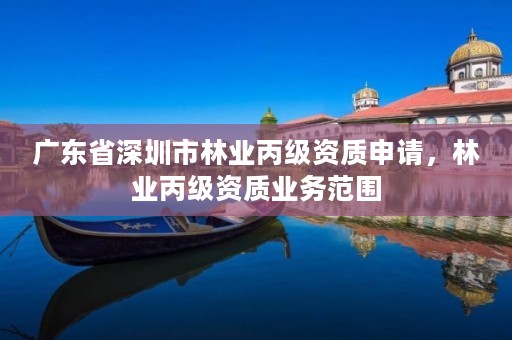 广东省深圳市林业丙级资质申请,林业丙级资质业务范围