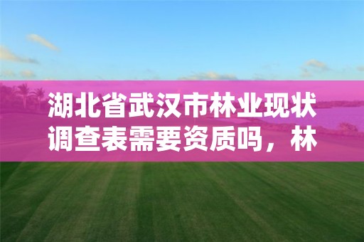 湖北省武汉市林业现状调查表需要资质吗,林业调查标准