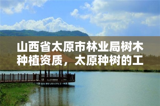 山西省太原市林业局树木种植资质,太原种树的工作怎么样