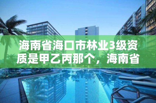 海南省海口市林业3级资质是甲乙丙那个,海南省林业总公司待遇