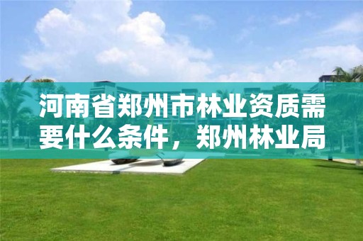 河南省郑州市林业资质需要什么条件,郑州林业局招标