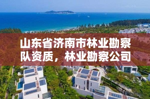 山东省济南市林业勘察队资质,林业勘察公司