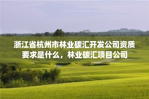 浙江省杭州市林业碳汇开发公司资质要求是什么,林业碳汇项目公司