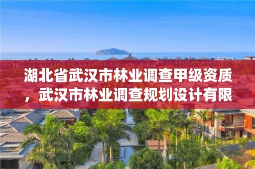 湖北省武汉市林业调查甲级资质,武汉市林业调查规划设计有限公司