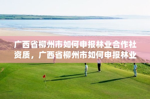 广西省柳州市如何申报林业合作社资质,广西省柳州市如何申报林业合作社资质证书