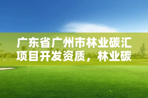 广东省广州市林业碳汇项目开发资质,林业碳汇项目开发现状与前景分析