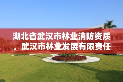 湖北省武汉市林业消防资质,武汉市林业发展有限责任公司