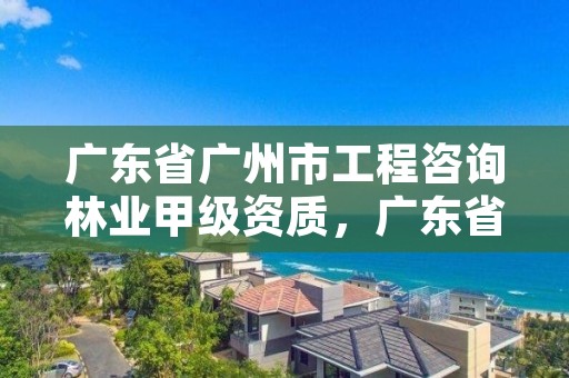 广东省广州市工程咨询林业甲级资质,广东省林业工程师