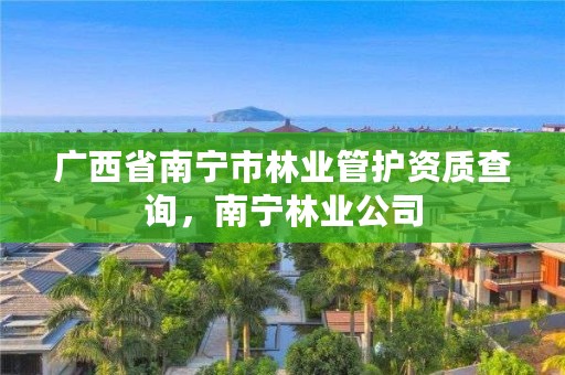 广西省南宁市林业管护资质查询,南宁林业公司