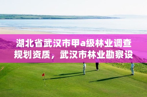 湖北省武汉市甲a级林业调查规划资质,武汉市林业勘察设计院