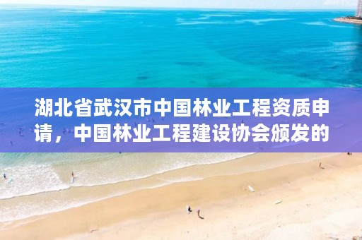 湖北省武汉市中国林业工程资质申请,中国林业工程建设协会颁发的资质证书
